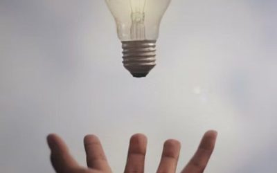 News 6 As a business owner, having access to real-time data is like having a superpower at your fingertips.